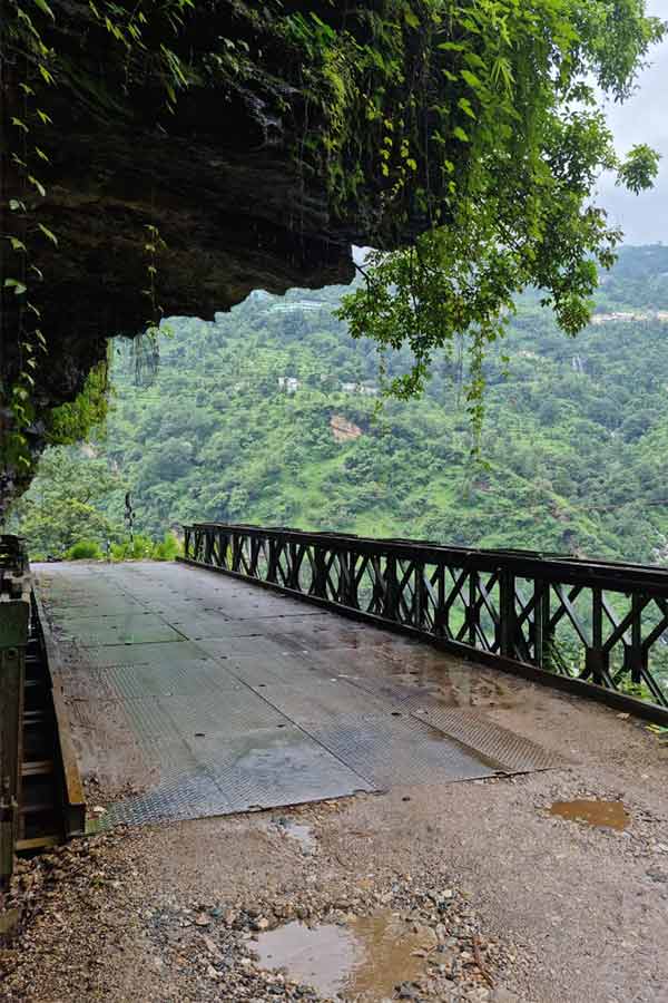 Bridge, pool, bridge covered with tress, bridge under mountain, infoyd