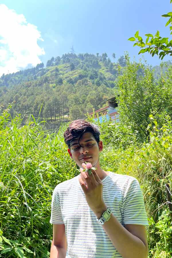 mountain background, boy holding a flower in his hand, infoyd,