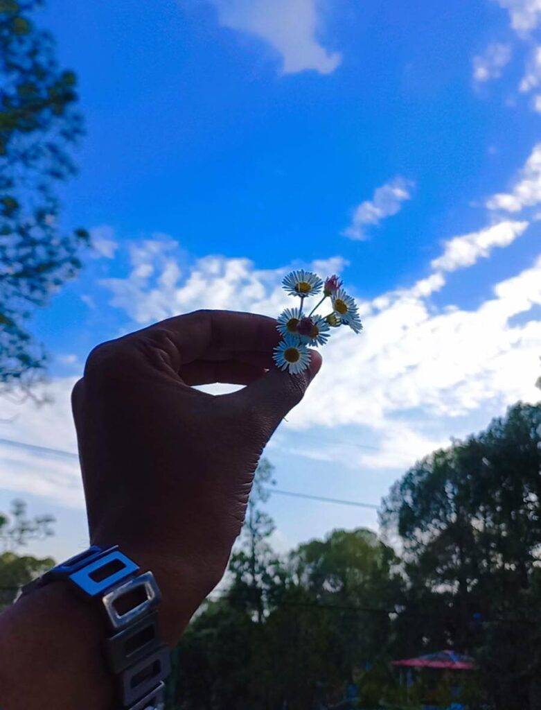 white flower, mountains, blue sky, clouds, tiny flowers